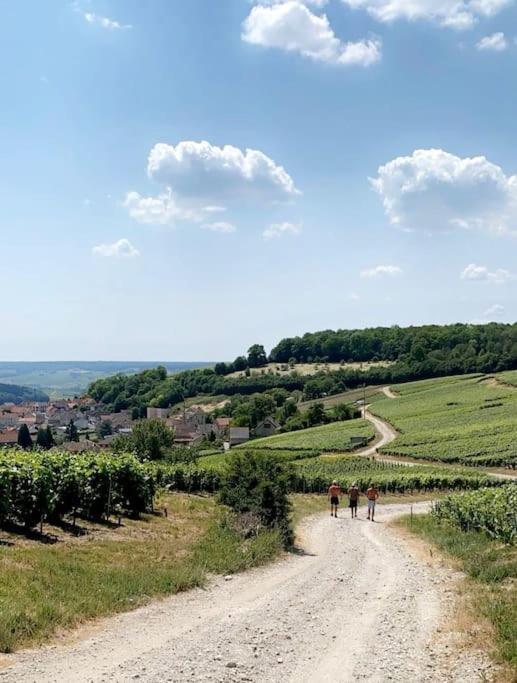 Le 29 - Appartement Au Coeur Du Vignoble Champenois Damery  Buitenkant foto