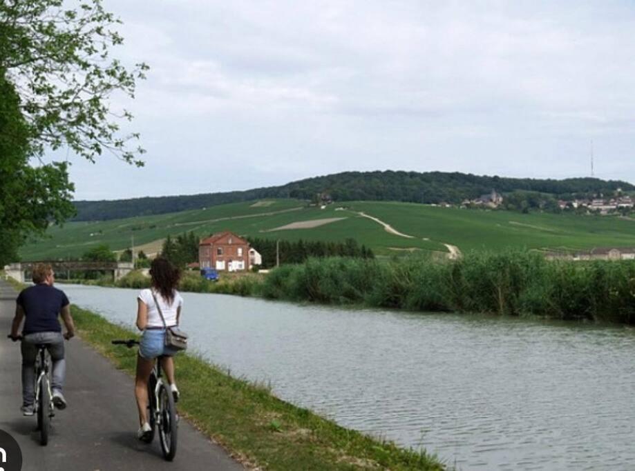 Le 29 - Appartement Au Coeur Du Vignoble Champenois Damery  Buitenkant foto